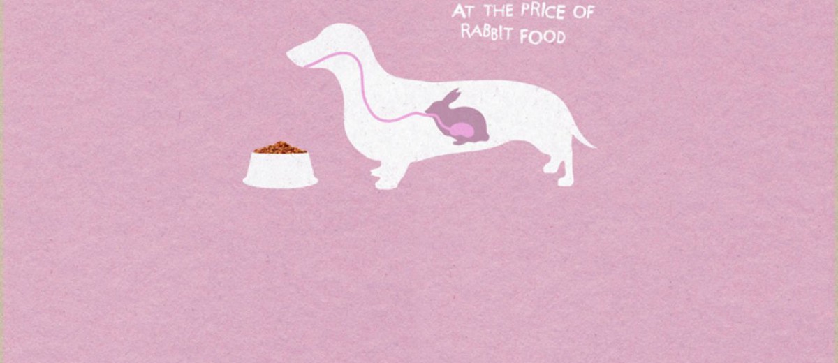 Publicité Maison jardin Animaux