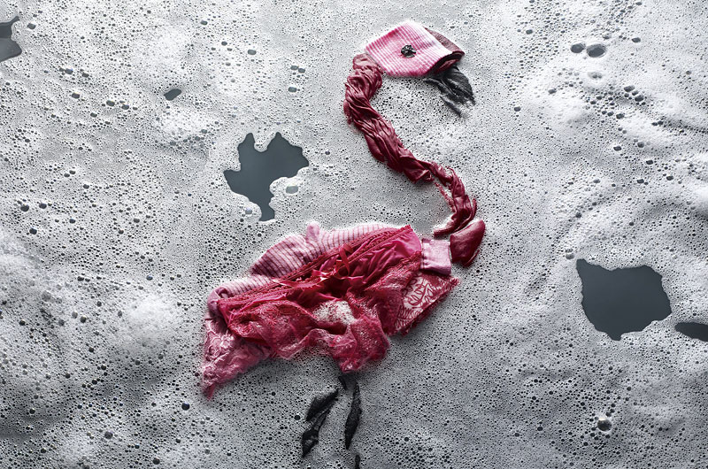 Persil_Flamingo